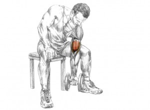 Сгибания руки с гантелью